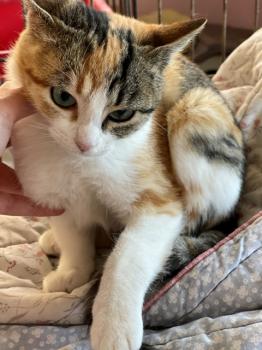 Nancy Bild von Nancy