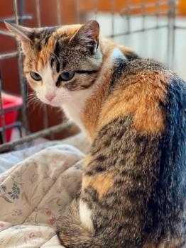 Nancy Bild von Nancy