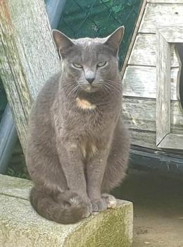Jana Bild von Jana