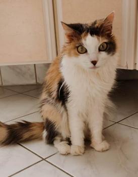 Belinda Bild von Belinda
