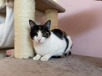 Felisa Bild von Felisa