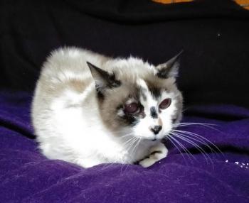 Edith Bild von Edith