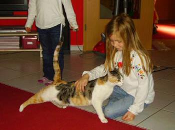 Molly Bild von Casilda