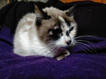 Edith Bild von Edith