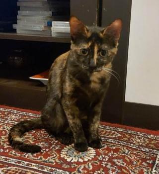 Mimi Bild von Mimi