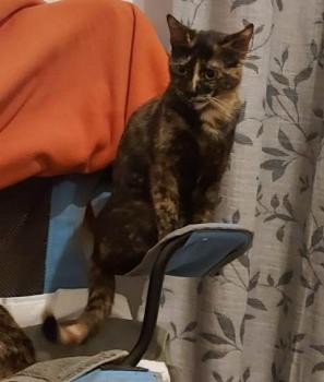 Mimi Bild von Mimi