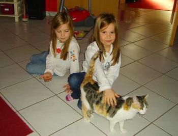 Molly Bild von Casilda