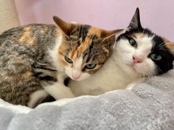 Nancy Bild von Nancy