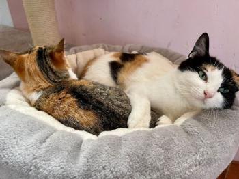 Nancy Bild von Nancy