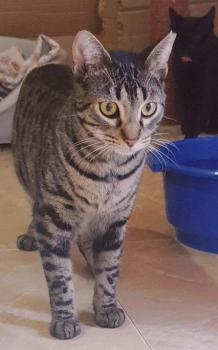 Lazlo Bild von Lazlo