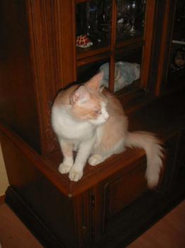 Baby Bild von Baby