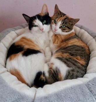 Nancy Bild von Nancy