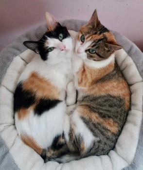 Nancy Bild von Nancy