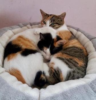 Nancy Bild von Nancy