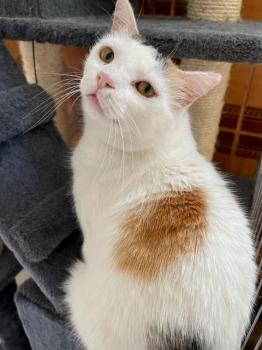 Manchitas Bild von Manchitas