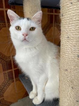 Manchitas Bild von Manchitas