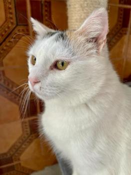 Manchitas Bild von Manchitas