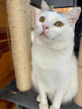 Manchitas Bild von Manchitas