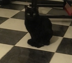Peni Bild von Peni