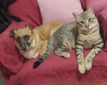 Hades Bild von Hades