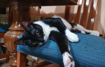 Wanda Bild von Wanda
