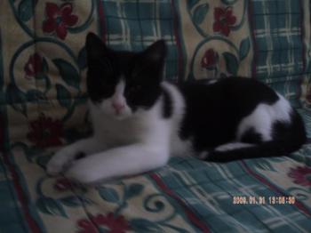 Andy Bild von Andy