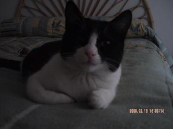 Andy Bild von Andy