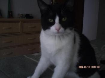 Andy Bild von Andy