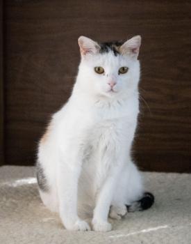 Manchitas Bild von Manchitas