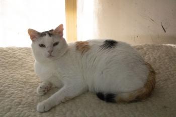 Manchitas Bild von Manchitas