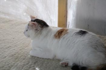 Manchitas Bild von Manchitas