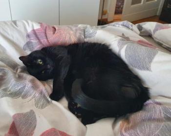 Tiffy Bild von Tiffy