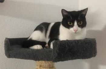 Tiko Bild von Tiko