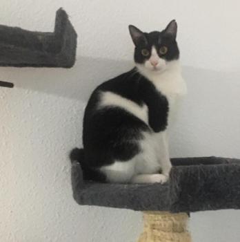 Tiko Bild von Tiko