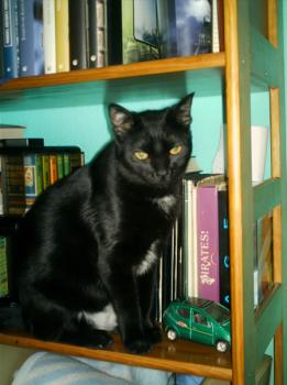 Miki Bild von Miki