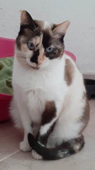 Lizzy Bild von Lizzy