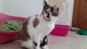 Lizzy Bild von Lizzy