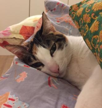 Babette Bild von Babette