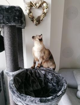 Tati Bild von Tati