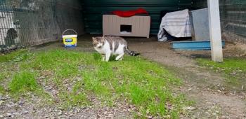 Marlon Bild von Marlon