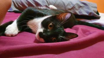 Wanda Bild von Wanda