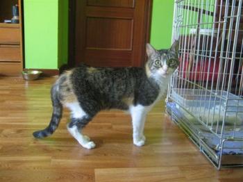 Nora Bild von Nora