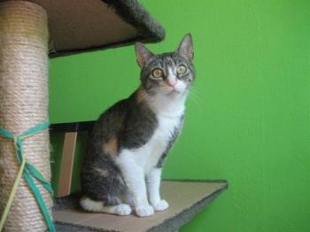 Nora Bild von Nora