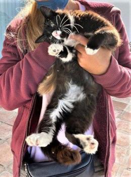 Lilou Bild von Lou