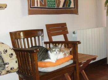 Filippo Bild von Filippo