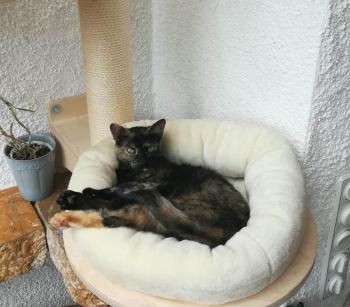 Mia Bild von Mia