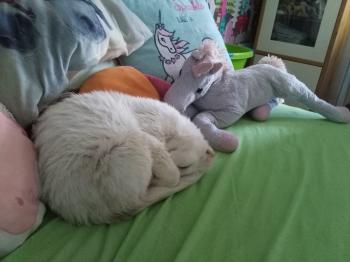 Blanki Bild von Blanki