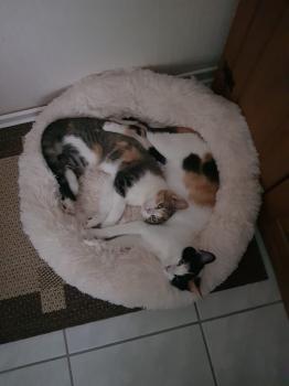 Nancy Bild von Nancy