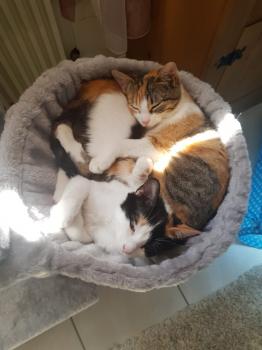 Nancy Bild von Nancy