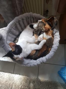 Nancy Bild von Nancy